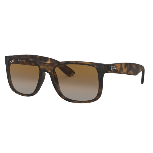 Ray-Ban Justin Sunglasses 0RB4165865/T555