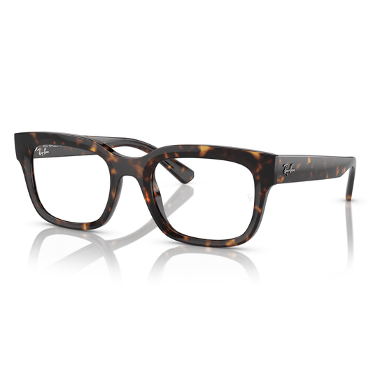 Ray-Ban Eyeglasses Frame