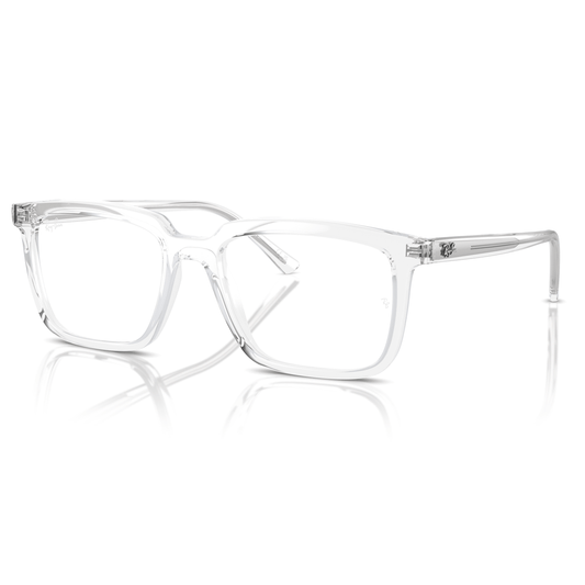Ray-Ban Eyeglasses Frame